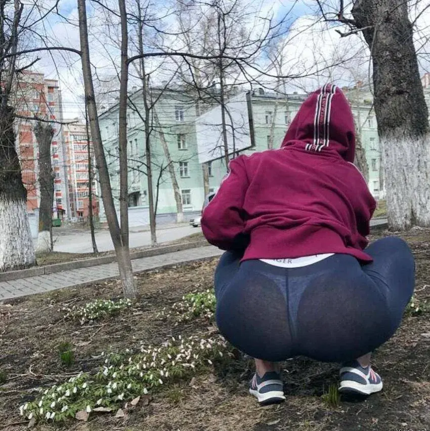 YönKuningatarSaheb